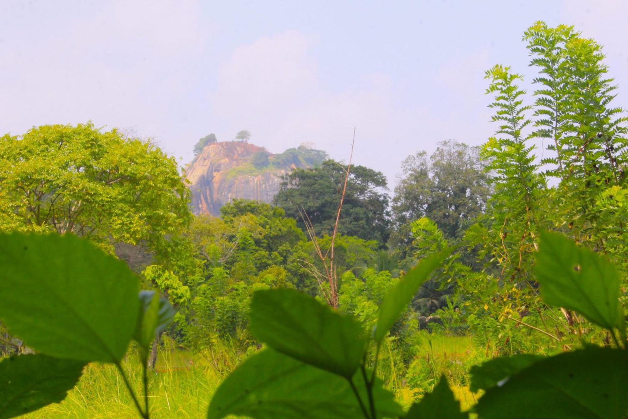 Sigiriya Palace View 외부 사진